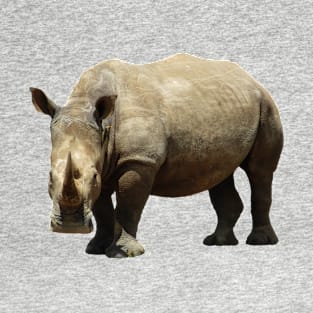 Rhino in Africa T-Shirt